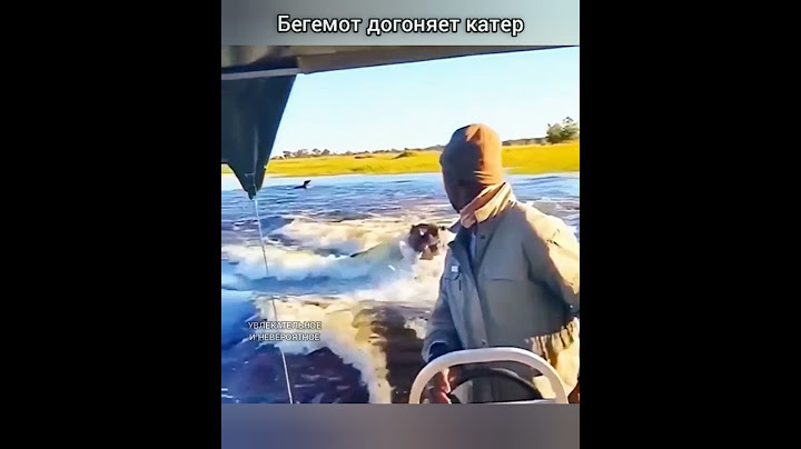Бегемот догоняет катер