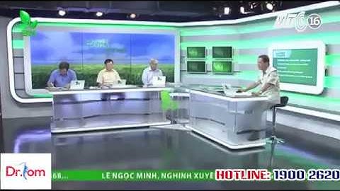 Dr.Tom - Cách khắc phục tảo đỏ trong ao nuôi tôm | VTC16