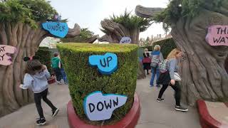 Alices Curious Labyrinth Disneyland Paris Le Labyrinthe Dalice