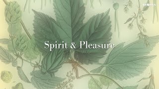 &quot;Good Taste&quot; - Spirit &amp; Pleasure play baroque folk from Ireland, Scotland &amp; England - new AEOLUS CD