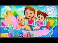 Swimming Song 🥽🏊‍♂️ and more Nursery Rhymes | KOLI KOALA | Kids Songs