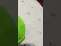 pobre mosquito 🦟