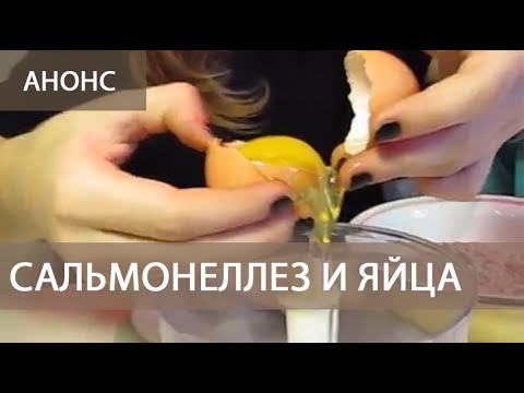 САЛЬМОНЕЛЛЁЗ  и ЯЙЦА (Часть 4) видео о куриный яйцах и сальмонеллезе