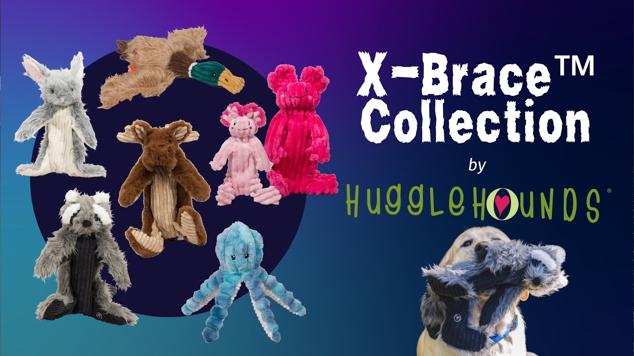 X-Brace™ Axolotl, Kiki and Gillie – HuggleHounds