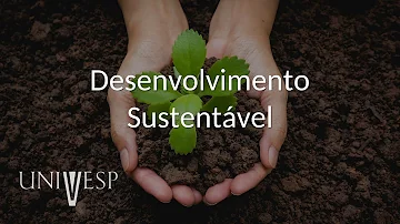 Qual a relação entre meio ambiente e engenharia?