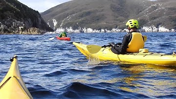 Bramble Cove Day 14 17