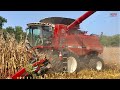 CASE IH 6150 Axial-Flow Combine Harvesting Corn