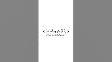 كروما شاشة بيضاء قرآن كريم تلاوة من سورة يوسف - القارئ مشاري