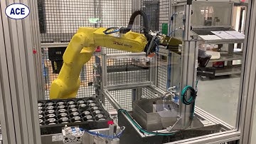 ACEdebur - Tray-Feed Deburring & Inspection