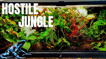 I Have a DEADLY Jungle in My Room