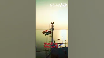 حلات وتس زامل البحر مايرحم غشيم السباحة عدي السفياني 2023 