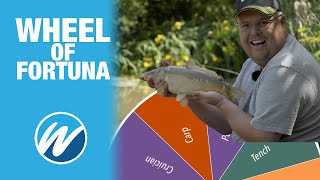Match Fishing Species Challenge | Andy May Vs Jamie Hughes | Spin the wheel!