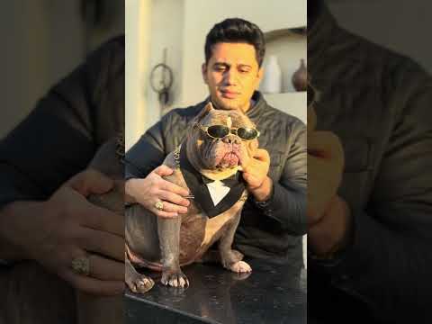 انا هوريك يعني اية كلب كل لبسة براندات ولسة ال جاي باسم هانط Basemhunt 