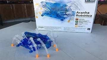 Qual é a cor da aranha?