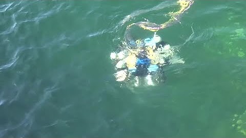 These underwater AI robots could keep UK