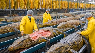 Download Lagu Inside the Lizard-Leather Factory: From Raw Skin to Luxury $10,000 Wallet (Full Process) MP3