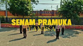 Lomba Senam Pramuka Jilid 1 Kwarran Ngaliyan SDN Tambakaji 01  