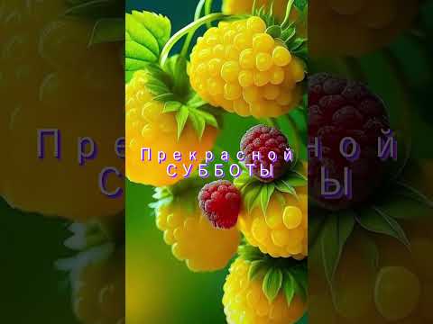 Добрый день, Прекрасной субботы!