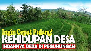 DAMAINYA SUASANA KEHIDUPAN DI KAMPUNG! INDAH PEMANDANGAN ALAM DESA PEGUNUNGAN KARANGGAYAM KEBUMEN