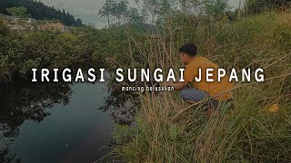 sensasi tarikan ikan di irigasi sungai jepang