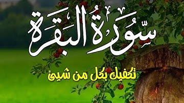 سورة البقرة Surah Al baqara سبحان من خلق هذا الصوت تلاوة فاقت الوصف لزيادة الرزق ولحفظ وتحصين البيت�