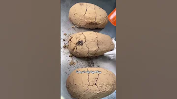 الطبق الياباني الفريد 
