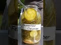 Pork burgers with fermented cucumber 🍔🥒 #fermentation #recipe #burger #shorts #cucumber #ytshorts