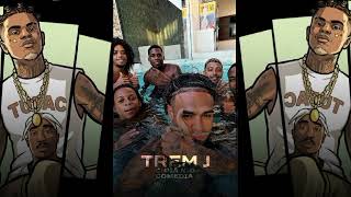 "Remix" Mc cabelinho, tz da coro, raflow e vinicin - foragido (SPEED UP)