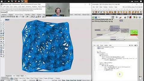 RHINO DEVELOPER: GhPython Script: Rhino Common 002_3_WS