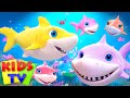 The Happy Shark Week with Baby Shark | Baby Shark Show | Baby Shark Song | Kids Tv Songs