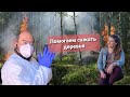 Жизнь в Колорадо // Лесные пожары в Колорадо // Наша волонтерская работа // Влог // Гуляем по лесу