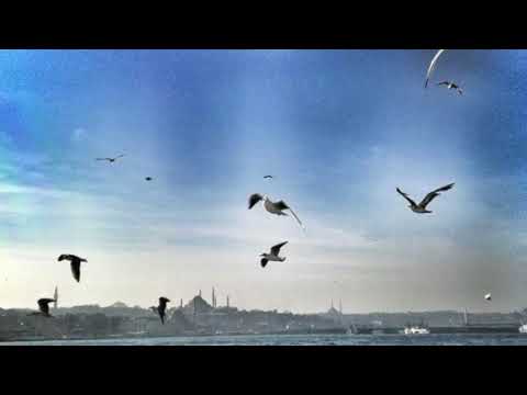 Gamsız Hayat Orijinal Dizi Müzikleri - Mayki Murat Başaran [Masumduk]