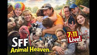 Steinmetz Family Farm is live!