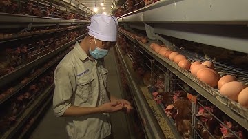 Ứng dụng kết quả nghiên cứu tiến bộ khoa học và công nghệ phục vụ phát triển nông nghiệp