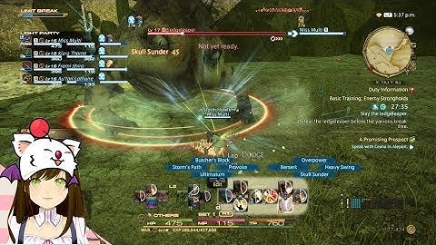Final fantasy XIV -  Guildhest: Basic Training enemy strongholds as WARR