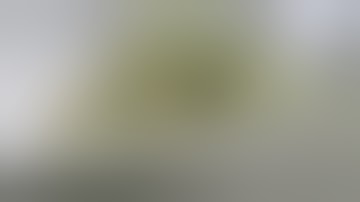 Cannalysis - Tech Forward Analytical Cannabis Lab