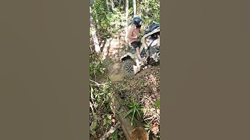 2022 Can Am Outlander XMR 570 tries a double black diamond trail #hillclimb #canam #outlander #xmr