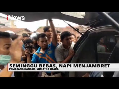 Usai Bebas Dari Penjara, Sejumlah Napi Kembali Berulah - iNews Sore 15/04