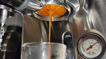 blooming slayer bdb shot