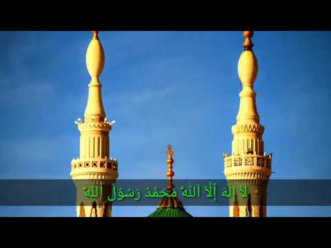 في حضرت المحبوب وائل جسار