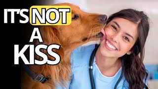 When your dog LICKS YOU, this is what it really means and it's NOT cute