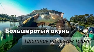 Платный пруд в DànShuǐQū. Большеротый окунь или Басс на микроджиг.