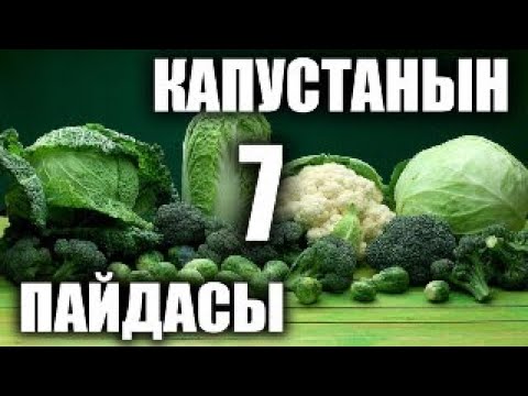 Video: Докторуңузга каршы болуунун 4 жолу