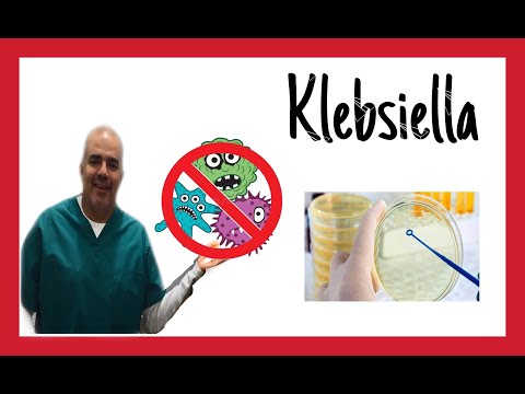 Vídeo: Infección Por Klebsiella Pneumoniae: Síntomas, Causas Y Tratamiento