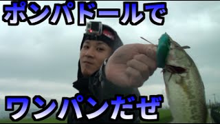 大雨でもバス釣りにいく！ポンパドールで釣れた！以上！