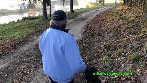 2017 NRC 6th & 7th Series 1