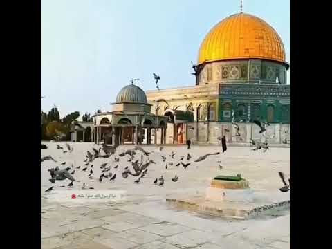 حالات واتس اب دينيه مصطفى مصطفى مشاري راشدالعفاسي