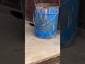 Красивый зверёк любитель любитель вермишели.