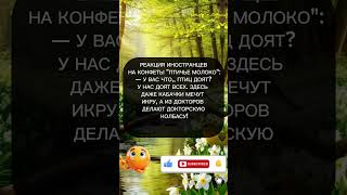 #юмор #анекдоты #шуточное #анекдот