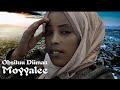 Obsituu Diimaa MOYYALEE New Oromo Borana Music 2025 Obsituu Diimaa MOYYALEE New Oromo Borana Music 2025